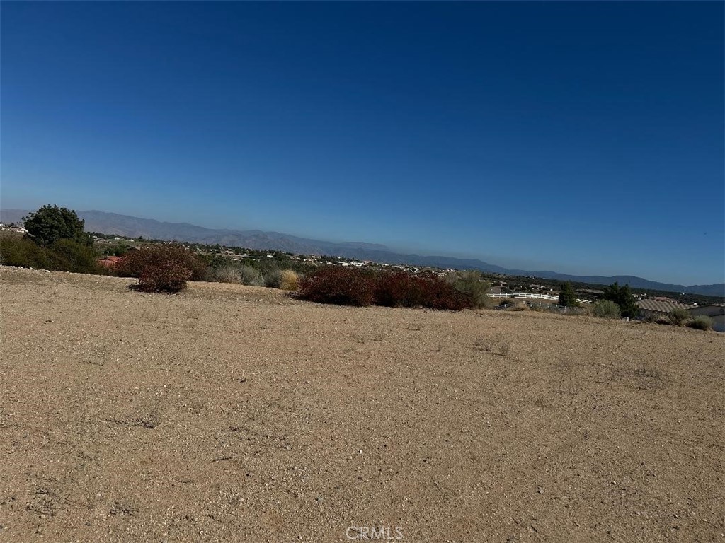 10928 Lantry Lane Property Photo 4