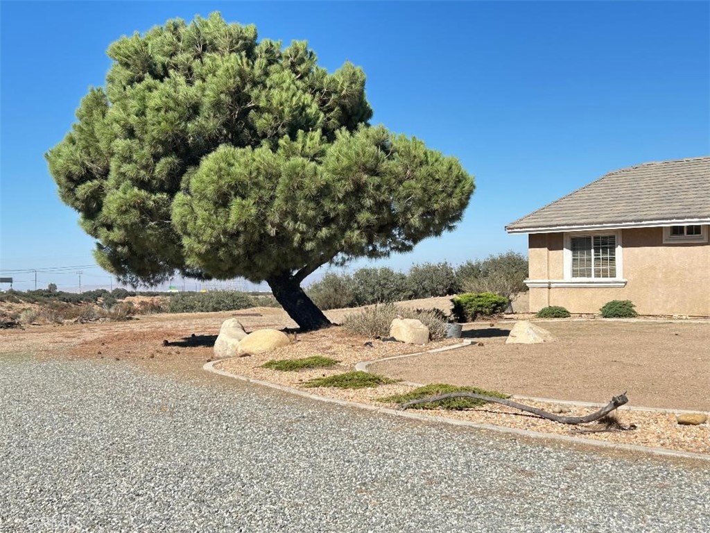 10928 Lantry Lane Property Photo 7
