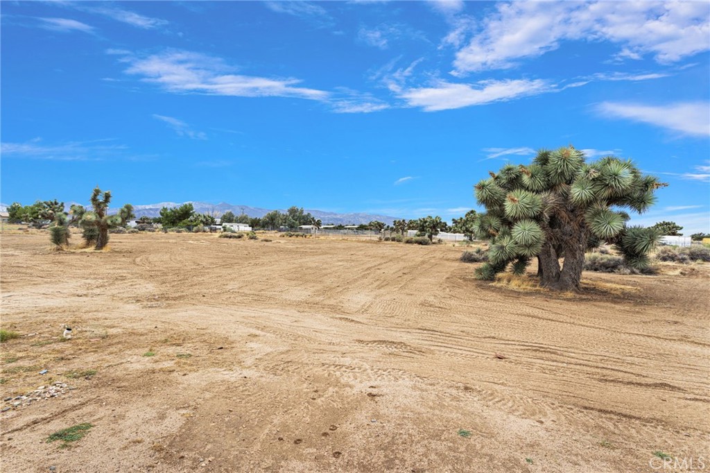 10432 Atsina Property Photo 52