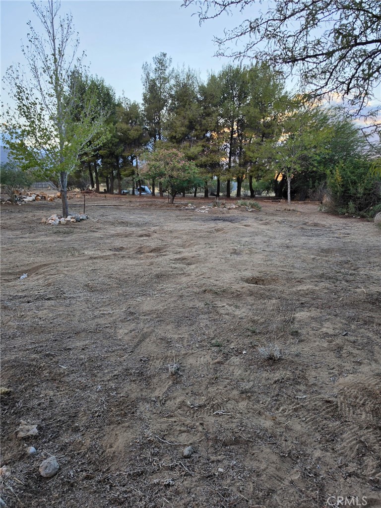 31125 Morningside Property Photo 6