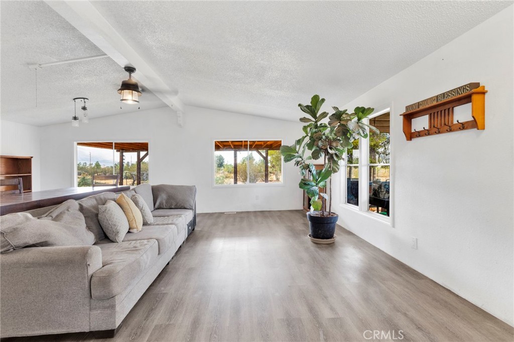 31125 Morningside Property Photo 6
