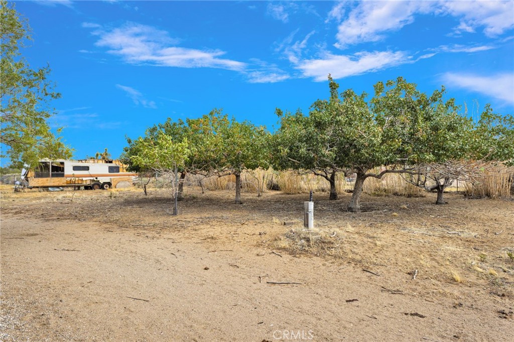 31125 Morningside Property Photo 48