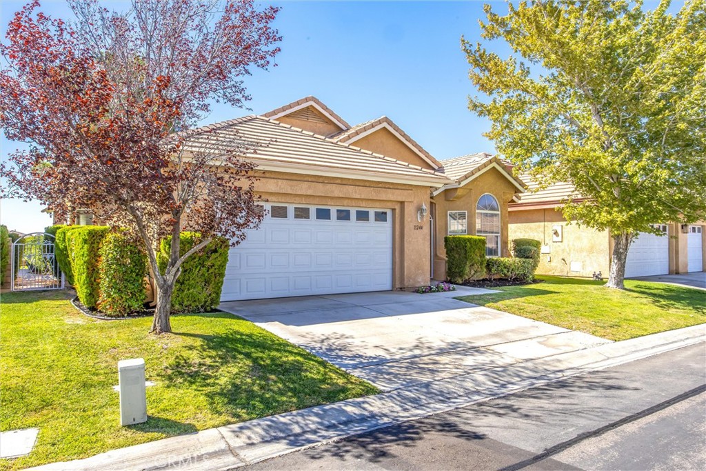 11244 Country Club Drive Property Photo 4