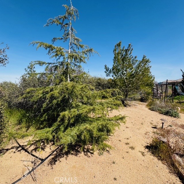 7438 Woodcliff Property Photo 50
