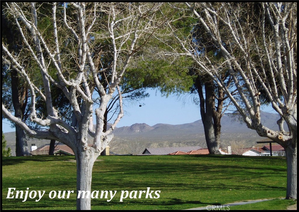 0 Silver Lakes Parkway Property Photo 20