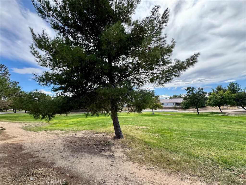 13839 Burning Tree Drive Property Photo 35