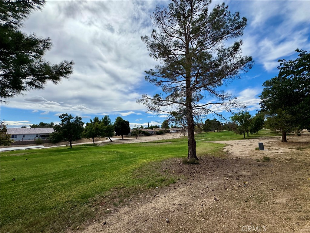 13839 Burning Tree Drive Property Photo 36