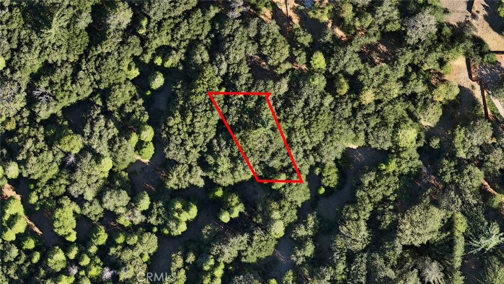 722 Mojave River Road Property Photo 2