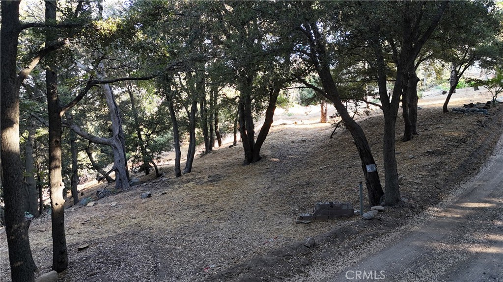722 Mojave River Road Property Photo 8
