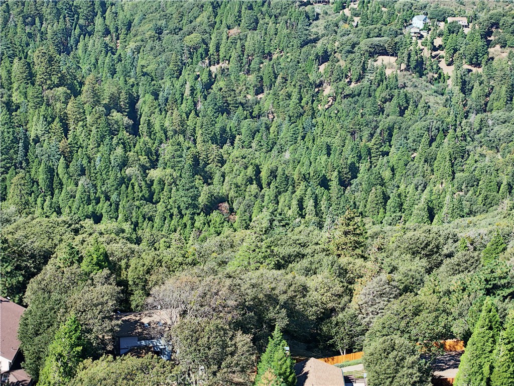 722 Mojave River Road Property Photo 12