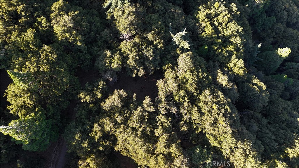 722 Mojave River Road Property Photo 19