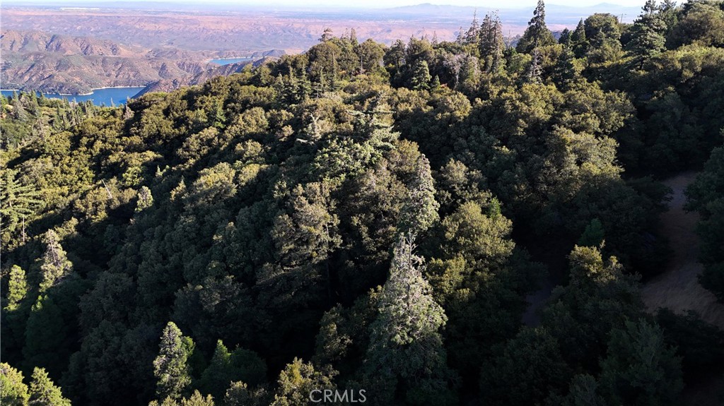 722 Mojave River Road Property Photo 20