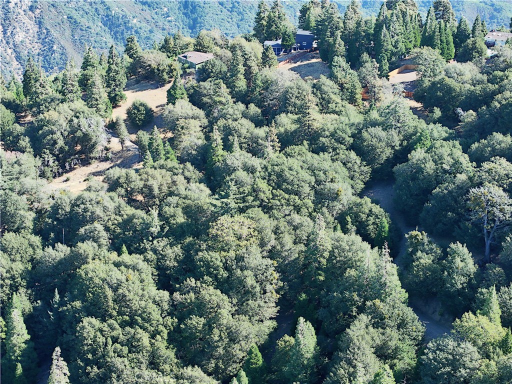 722 Mojave River Road Property Photo 25