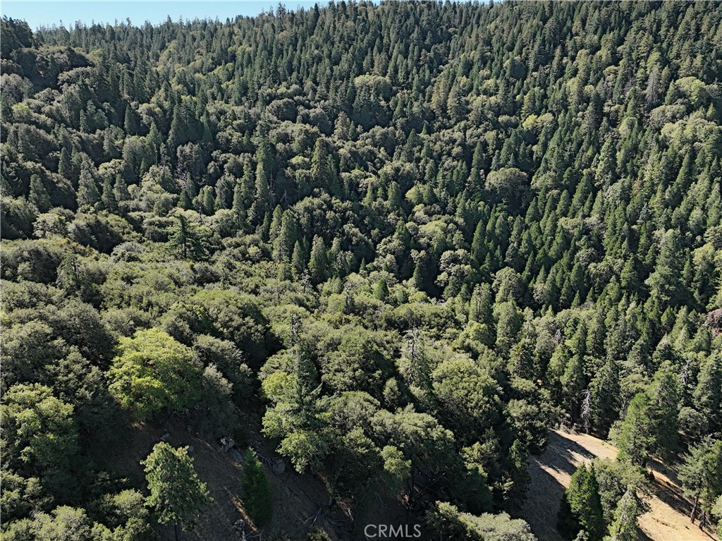 756 Mojave River (near) Road Property Photo 3