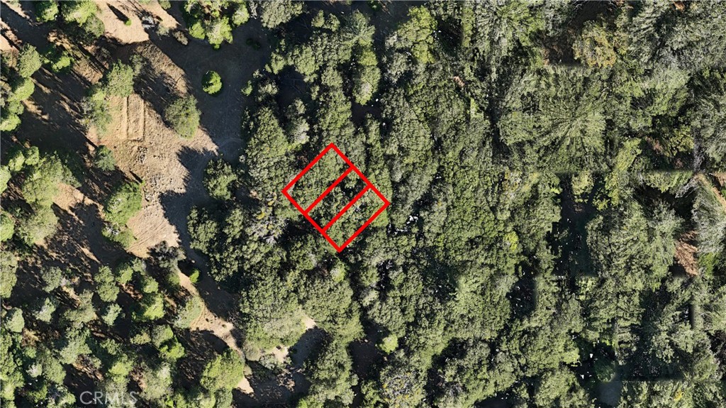 756 Mojave River (near) Road Property Photo 4