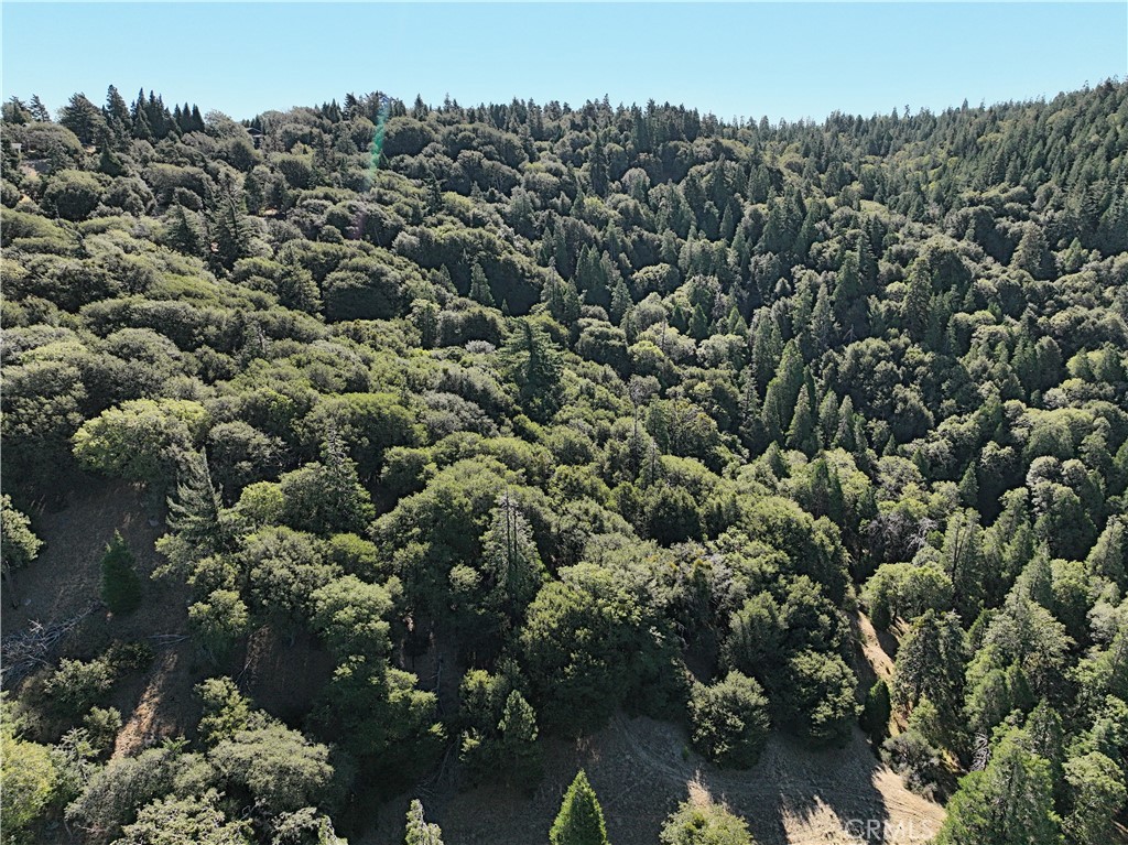 756 Mojave River (near) Road Property Photo 6