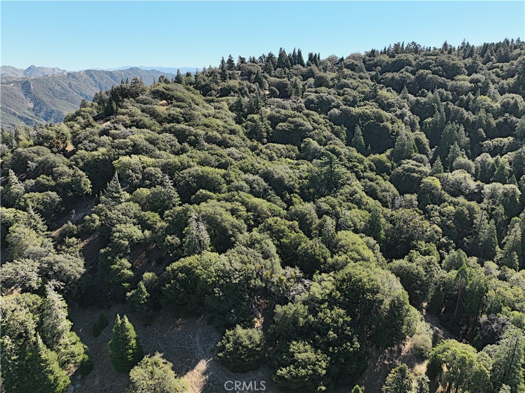 756 Mojave River (near) Road Property Photo 7