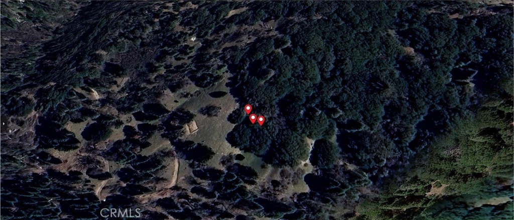 756 Mojave River (near) Road Property Photo 11