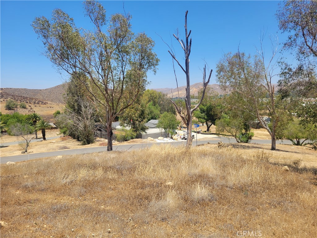 0 Calkins Avenue Property Photo 2