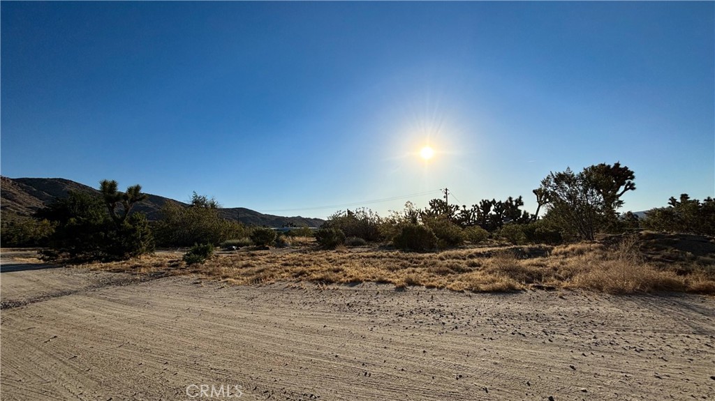 771 Scarvan Road Property Photo 8