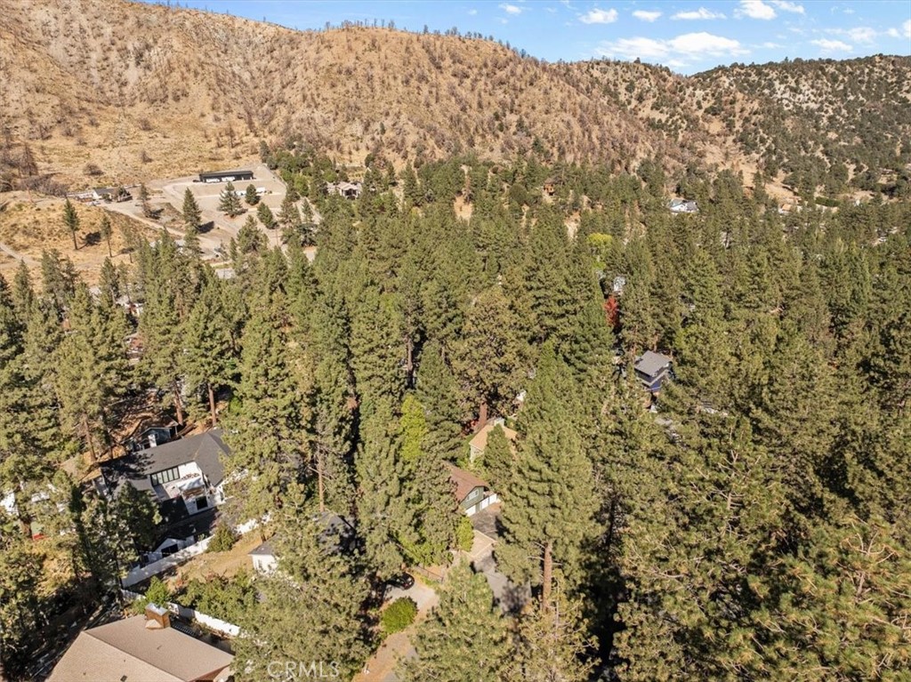 570 Lark Property Photo 38