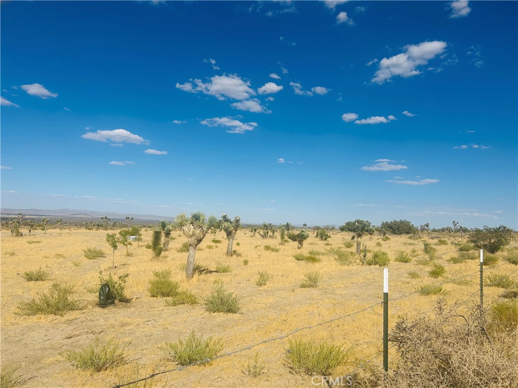 0 Cor Fort Tejon Drt 230 Property Photo 3
