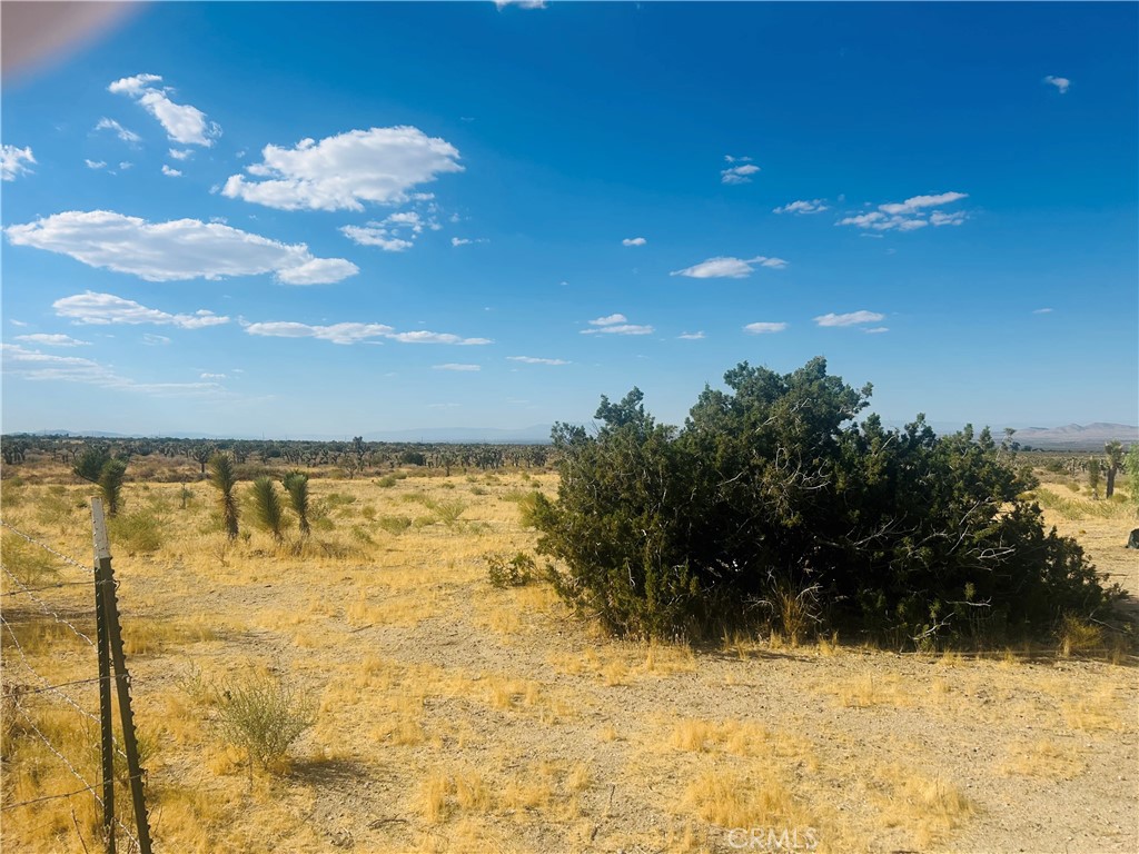 0 Cor Fort Tejon Drt 230 Property Photo 5