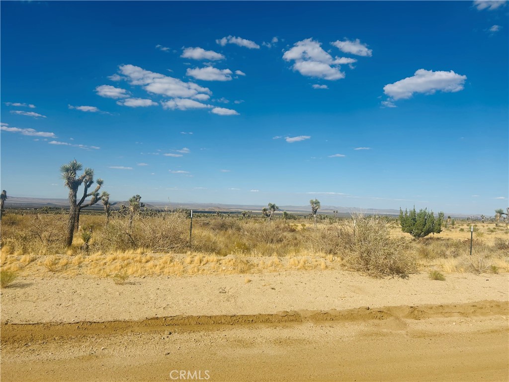 0 Cor Fort Tejon Drt 230 Property Photo 10