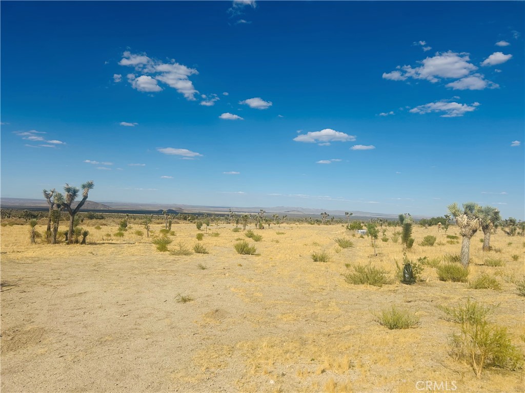 0 Cor Fort Tejon Drt 230 Property Photo 14