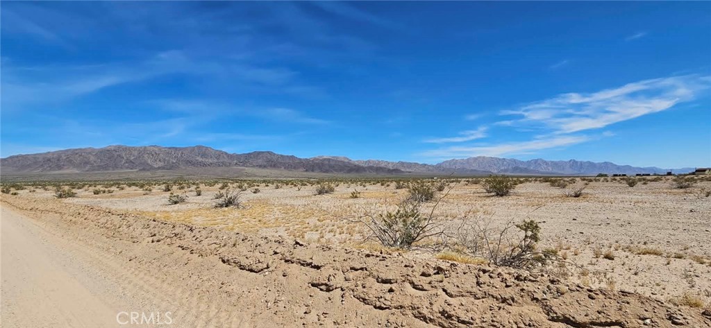 3017 Shadow Mountain Property Photo 3