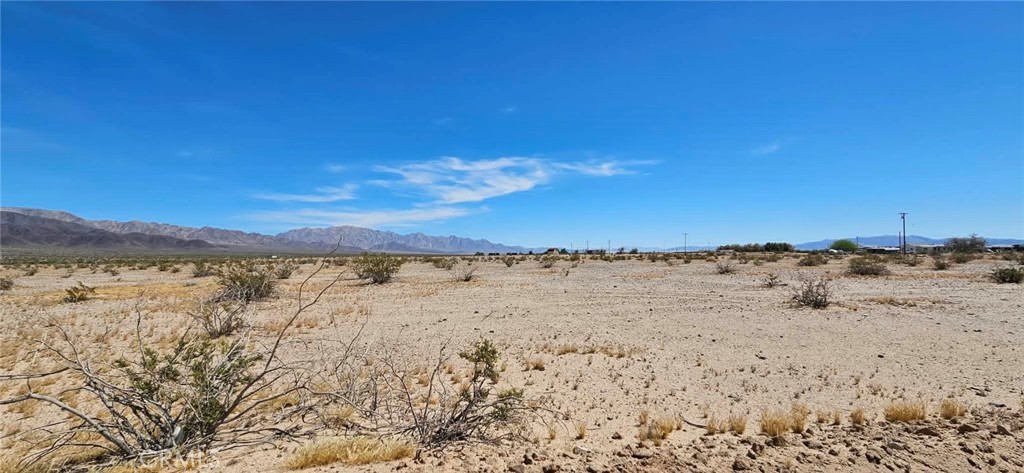 3017 Shadow Mountain Property Photo 4