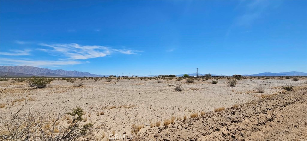 3017 Shadow Mountain Property Photo 5