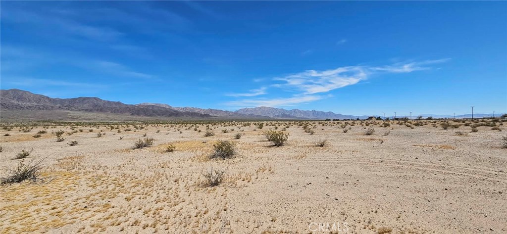 3017 Shadow Mountain Property Photo 6
