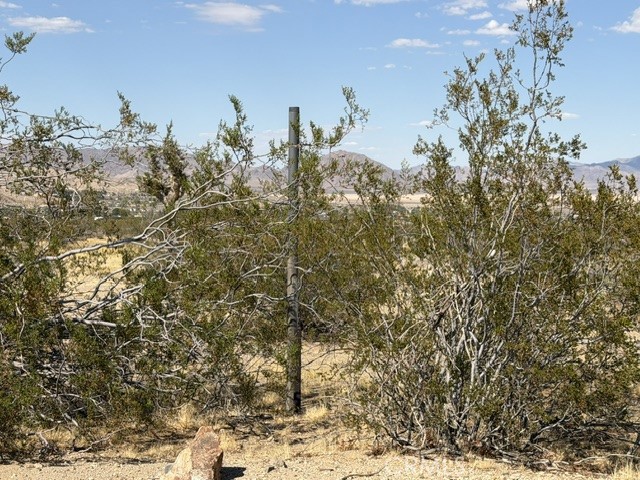 31888 Carson Property Photo 7