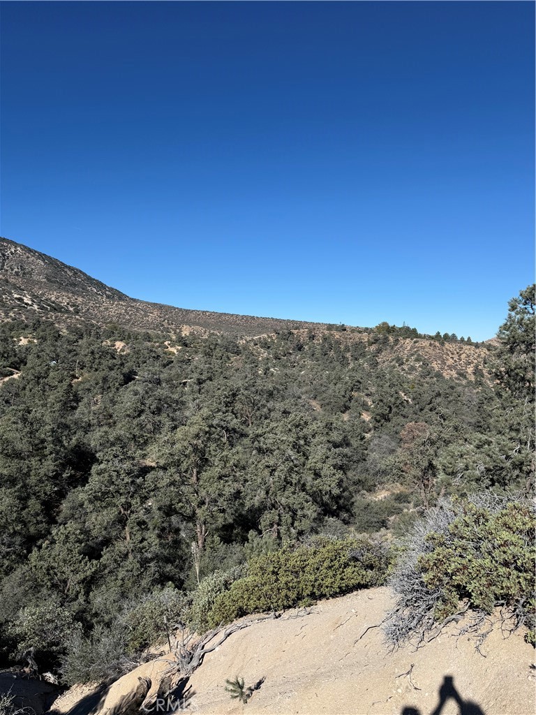 28106 Desert Front Property Photo 2