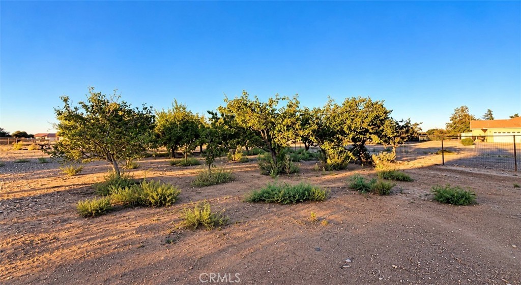 9275 Rattlesnake Property Photo 44