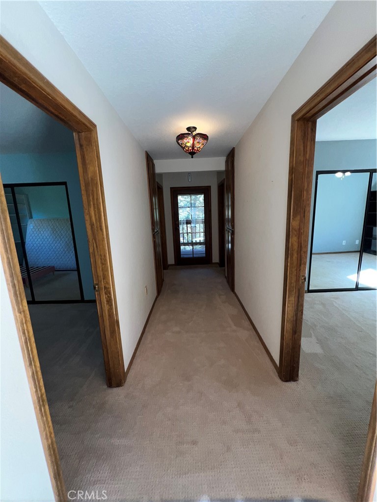 23109 Cardinal Property Photo 17