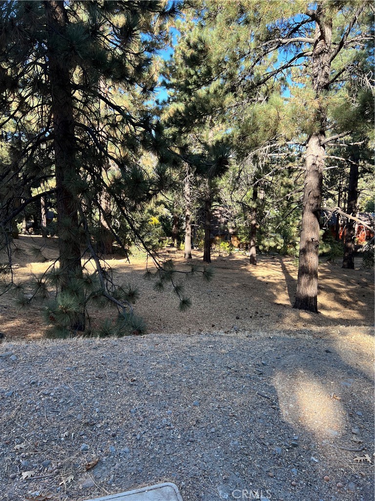 23109 Cardinal Property Photo 57