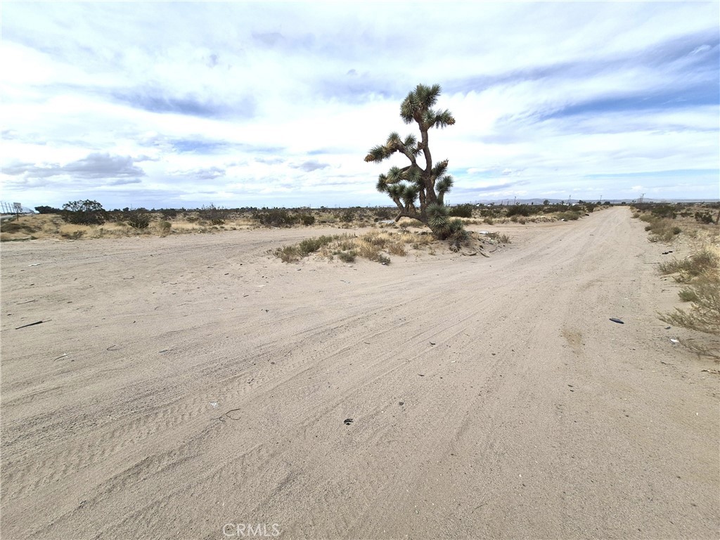 0 Palmdale Road Property Photo 4
