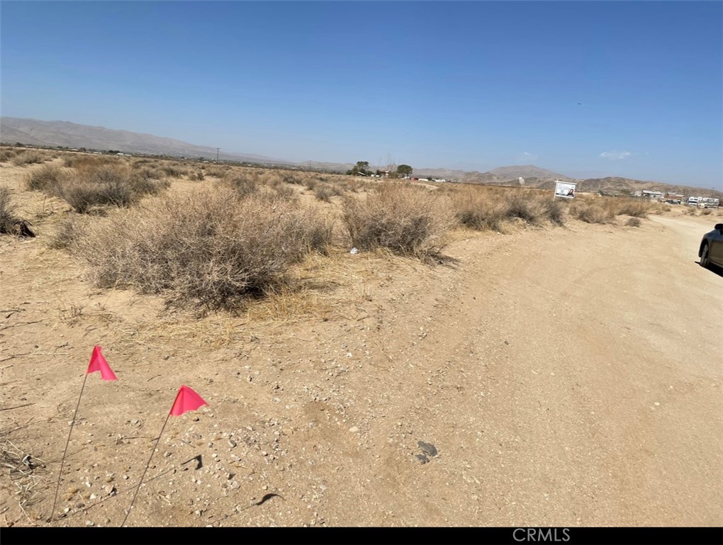 0 Reagan Road Property Photo 3