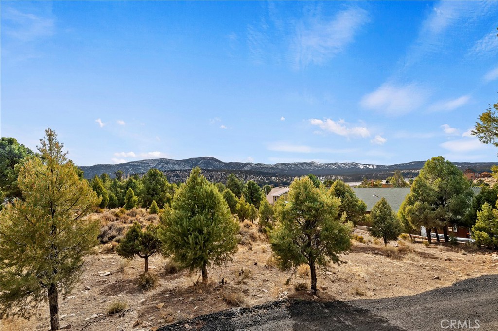 0 Sunny Slope Lane Property Photo 2