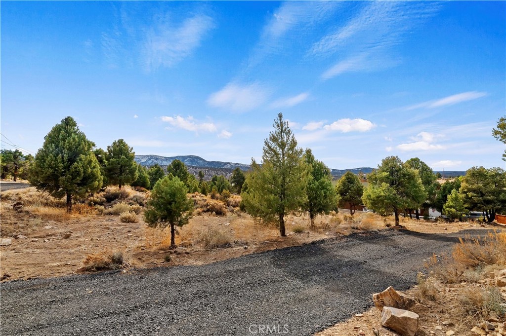 0 Sunny Slope Lane Property Photo 3