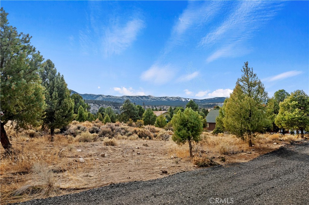 0 Sunny Slope Lane Property Photo 4