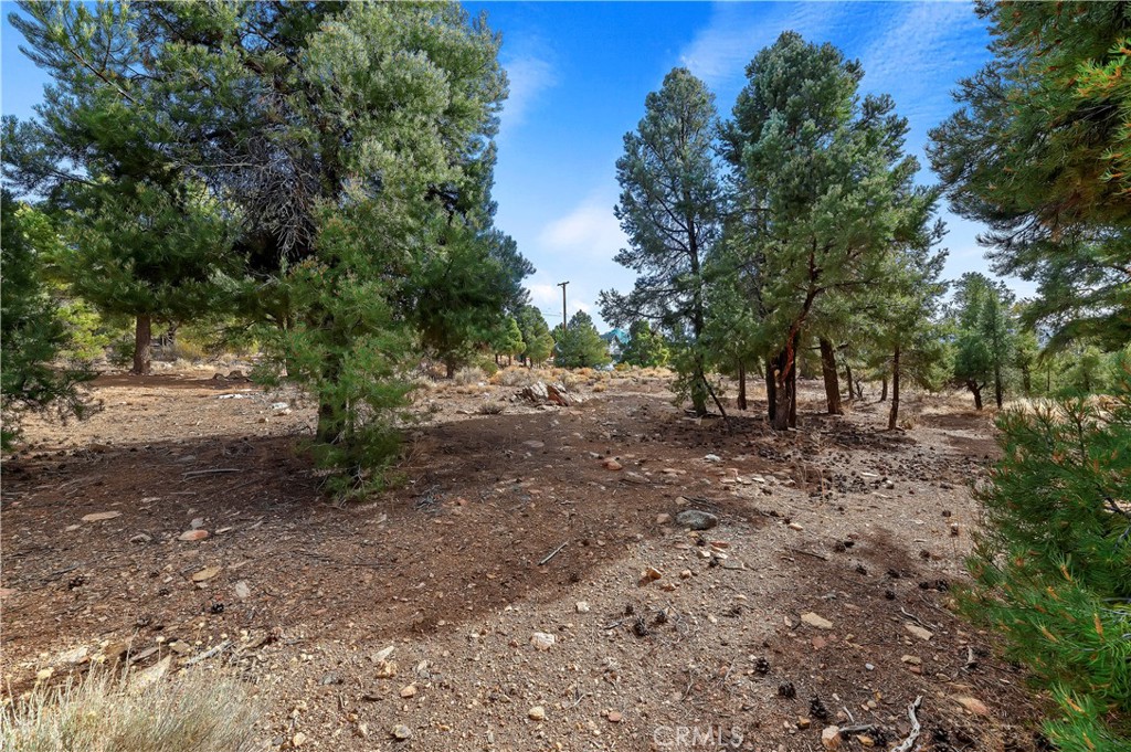 0 Sunny Slope Lane Property Photo 7