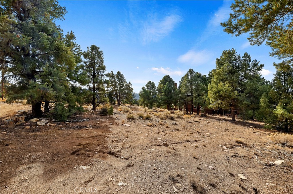 0 Sunny Slope Lane Property Photo 8