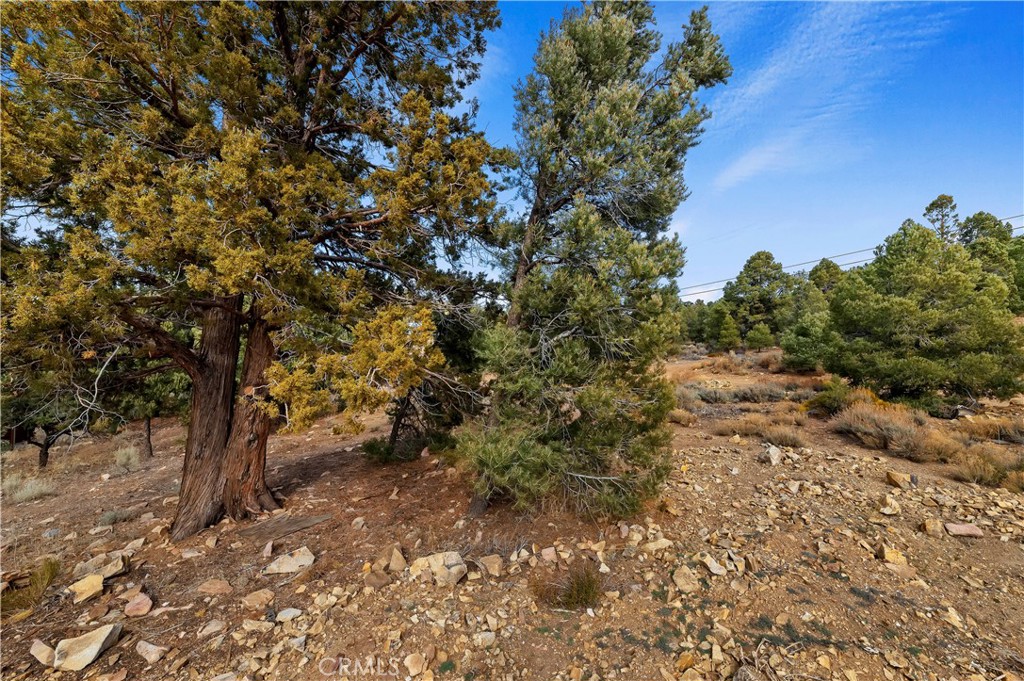 0 Sunny Slope Lane Property Photo 10