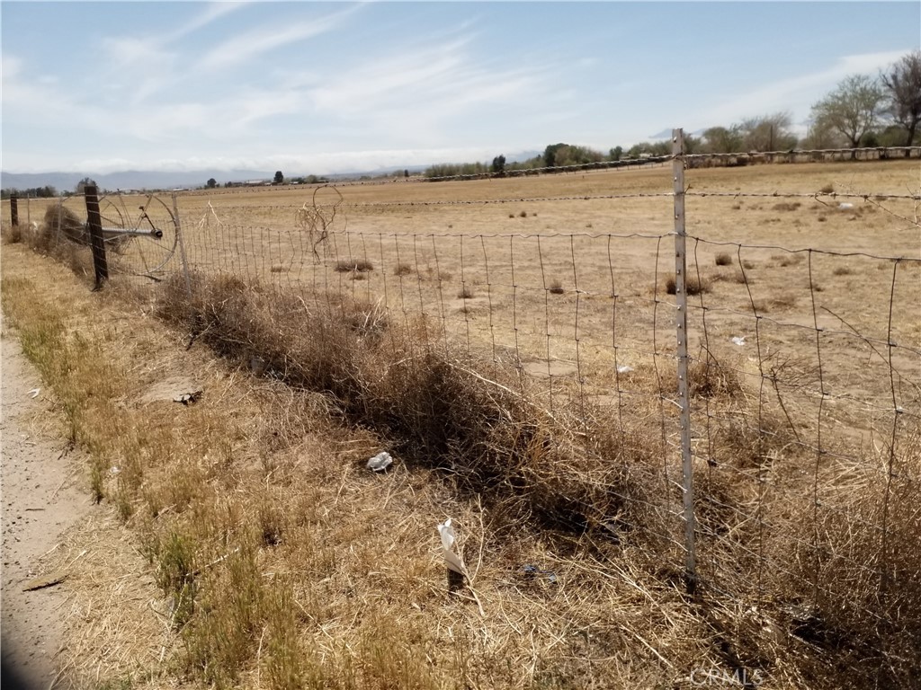 19773 Bear Valley Road Property Photo 2