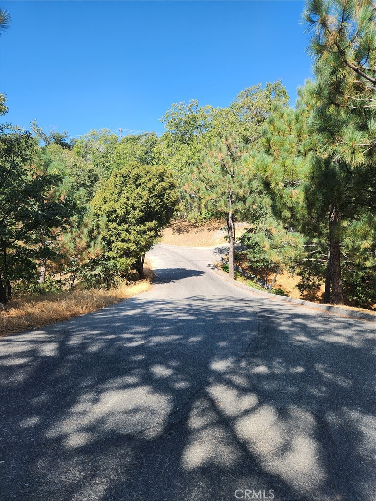 1563 Rock Ridge Drive Property Photo 4