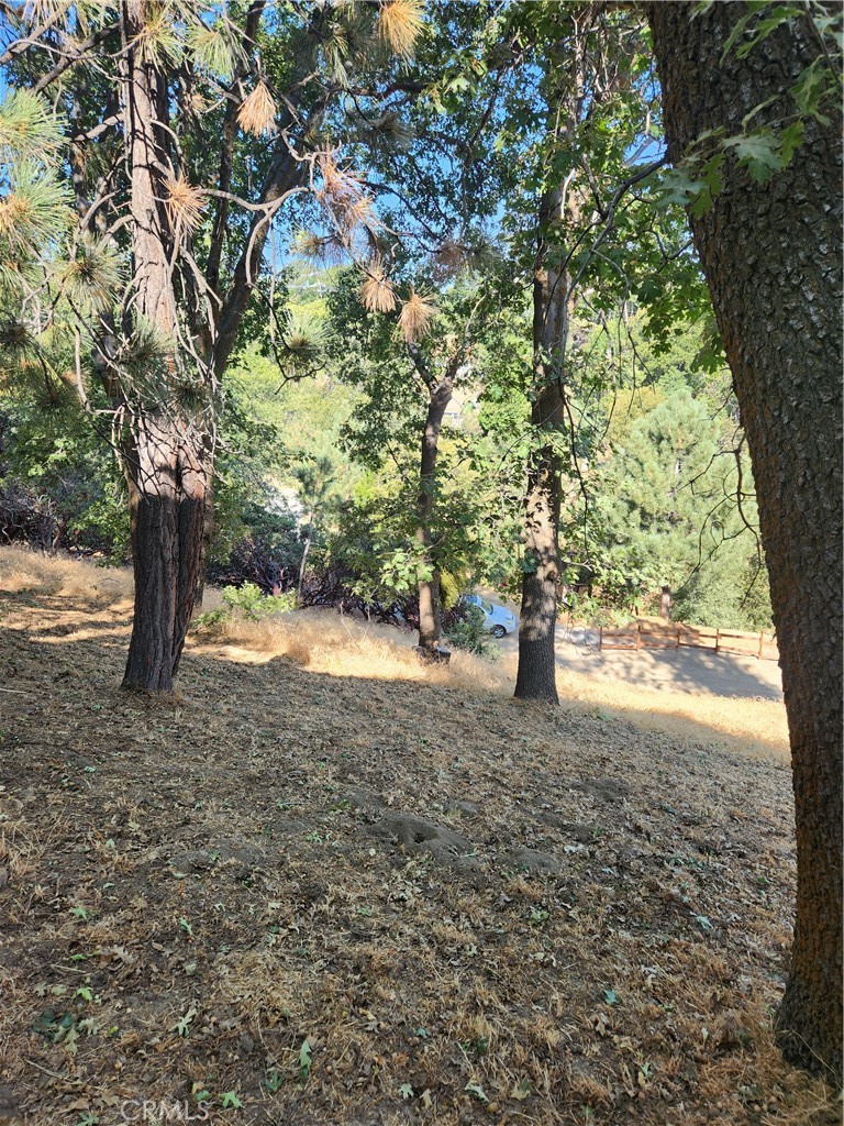 1563 Rock Ridge Drive Property Photo 8