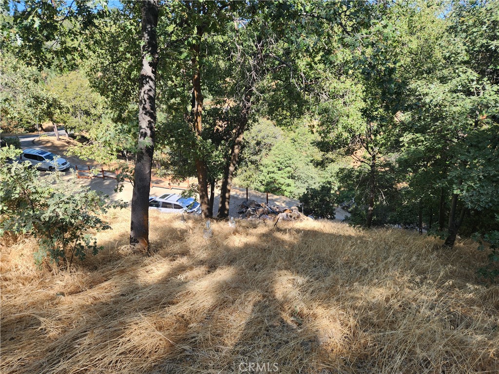 1563 Rock Ridge Drive Property Photo 9